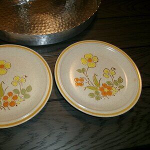 SET OF 2 Hearthside Garden Festival SUNSHINE FLOWERS 7-3/4" Salad Dessert Plates